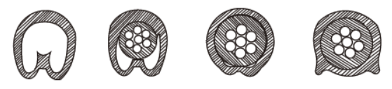 1663692097594331.png image.png